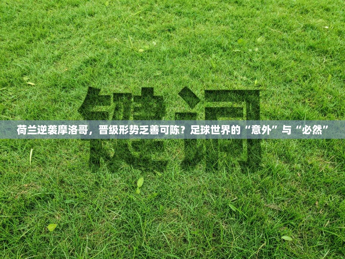 荷兰逆袭摩洛哥,晋级形势乏善可陈?足球世界的“意外”与“必然” 第2张